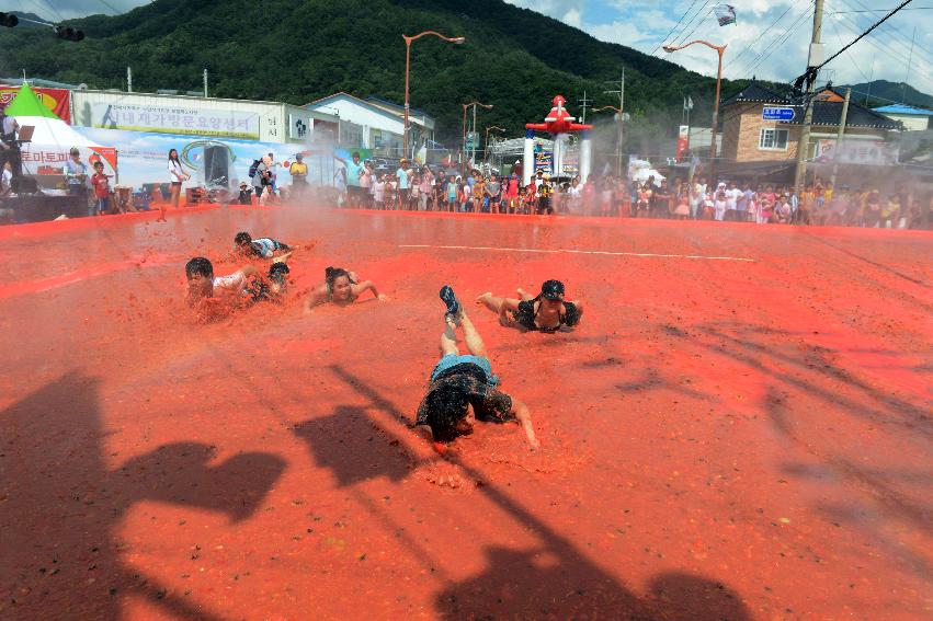 2013년 토마토축제 의 사진