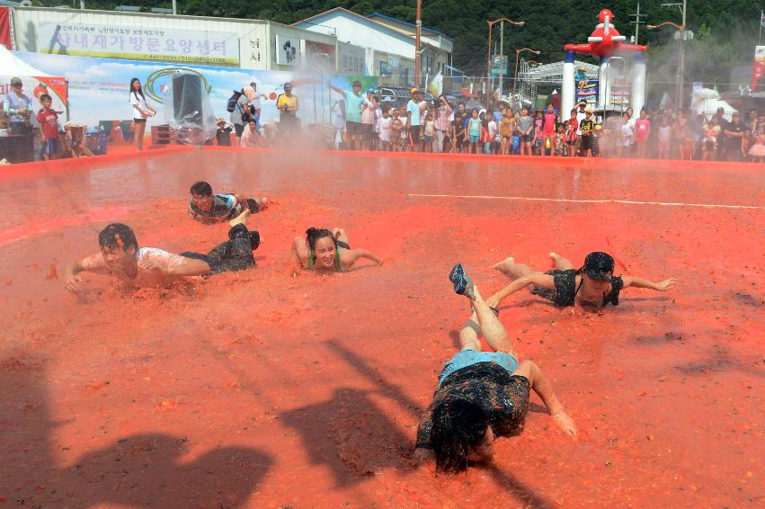 2013년 토마토축제 의 사진