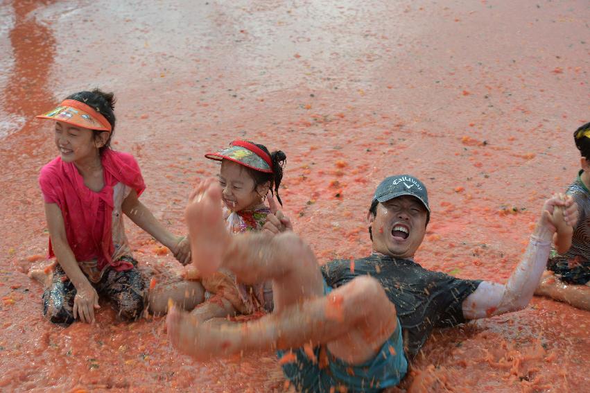 2013년 토마토축제 의 사진