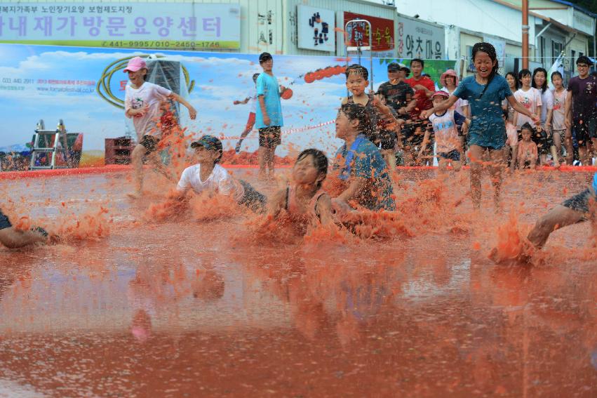 2013년 토마토축제 의 사진