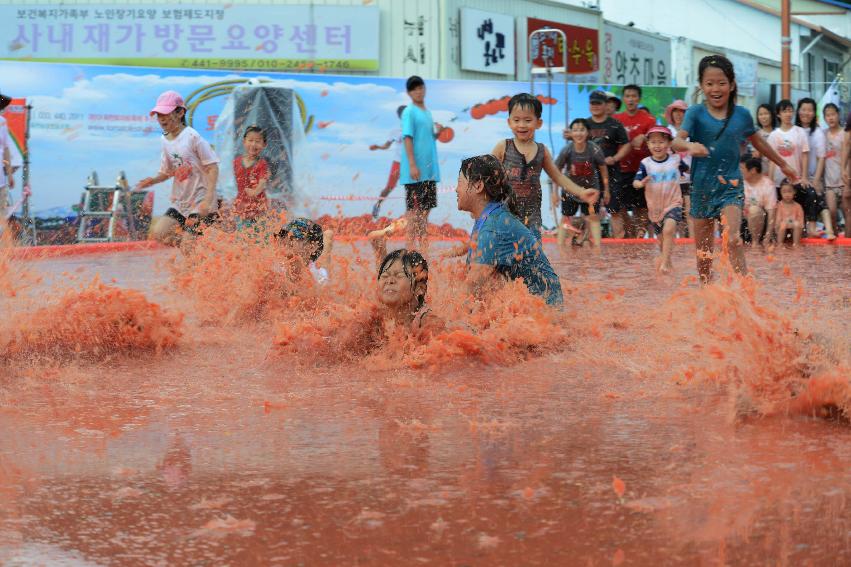 2013년 토마토축제 의 사진