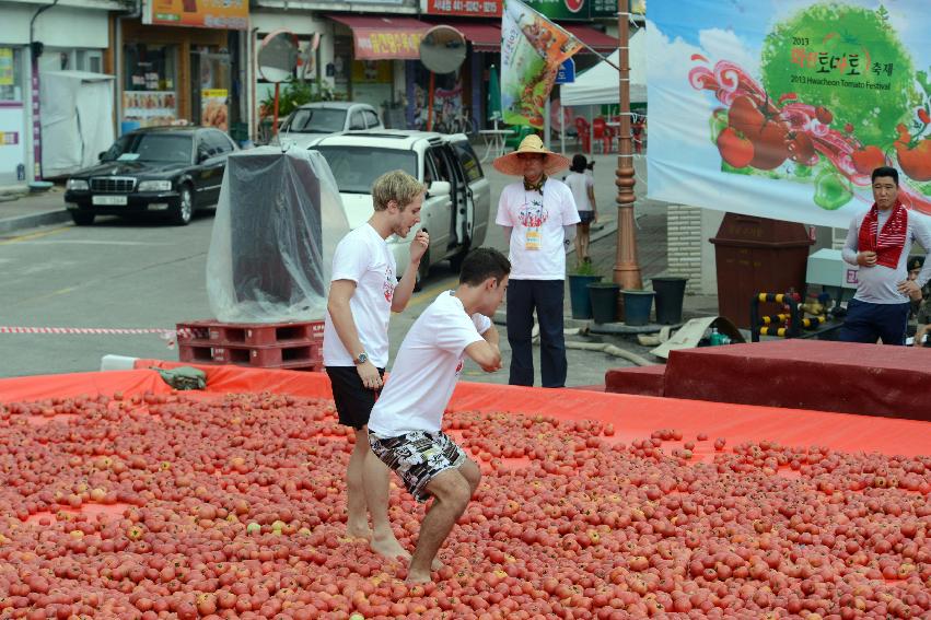 2013년 토마토축제 의 사진