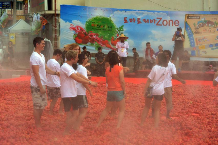 2013년 토마토축제 의 사진