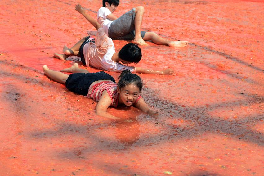 2013년 토마토축제 의 사진