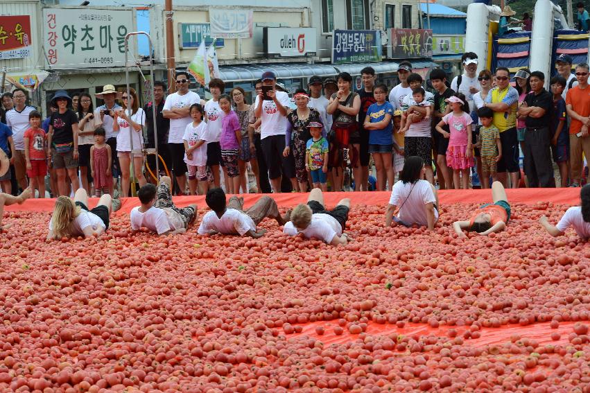 2013년 토마토축제 의 사진