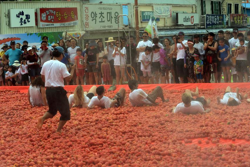 2013년 토마토축제 의 사진