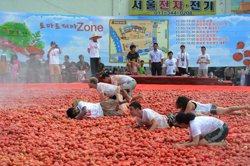 2013년 토마토축제 의 사진