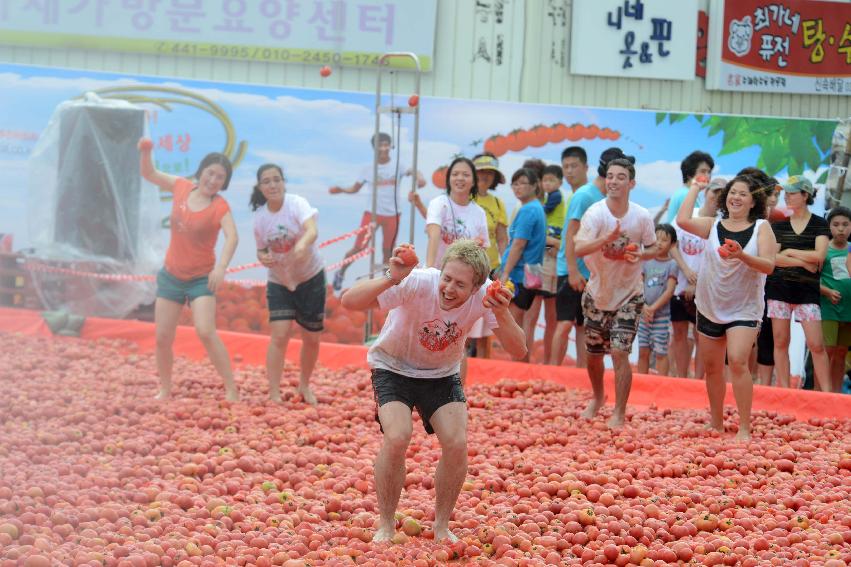 2013년 토마토축제 의 사진