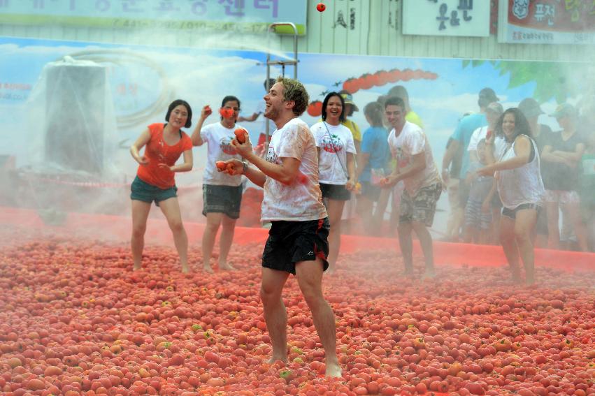 2013년 토마토축제 의 사진