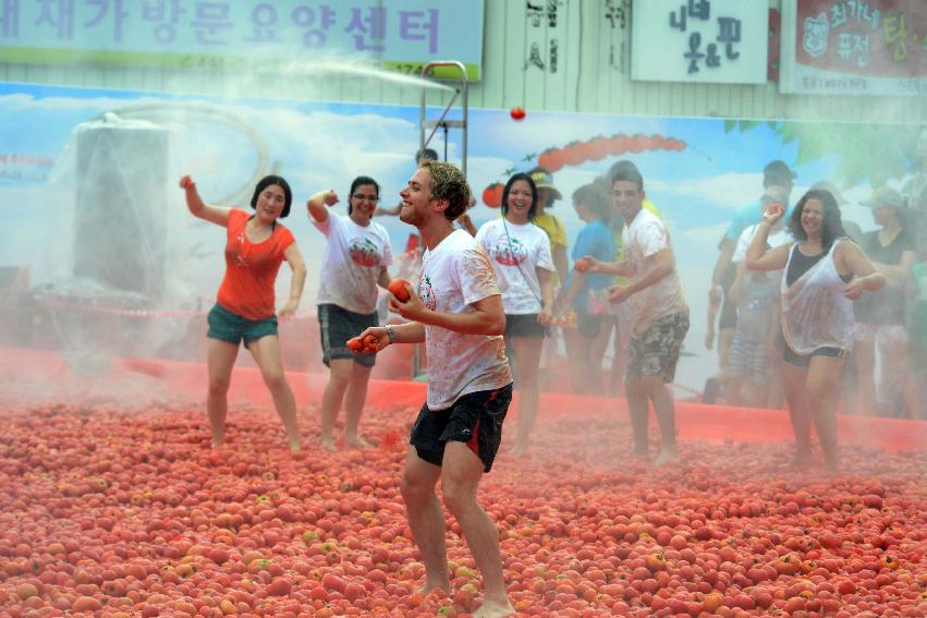 2013년 토마토축제 의 사진