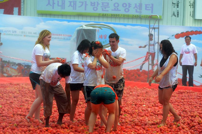 2013년 토마토축제 의 사진