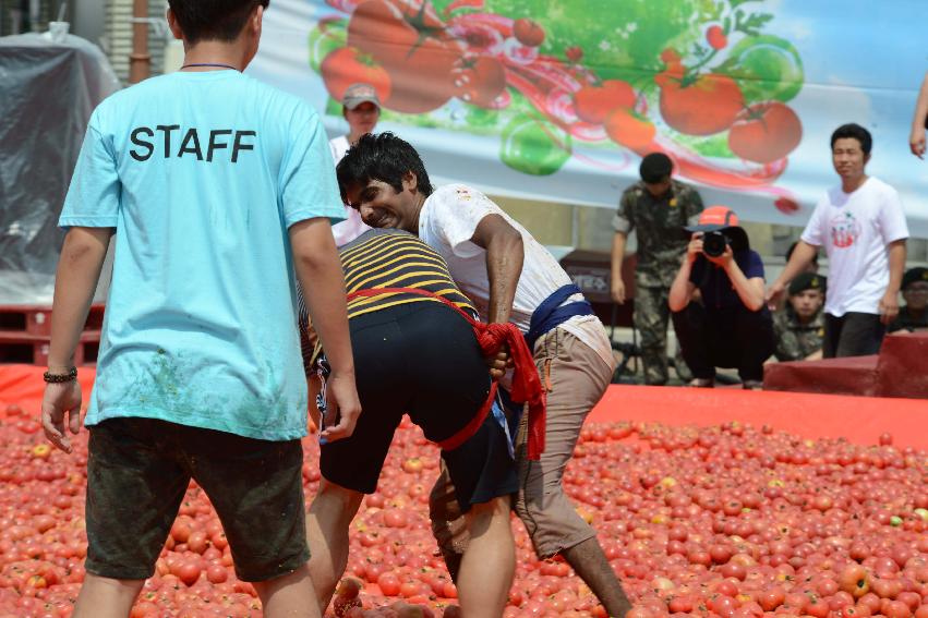 2013년 토마토축제 의 사진