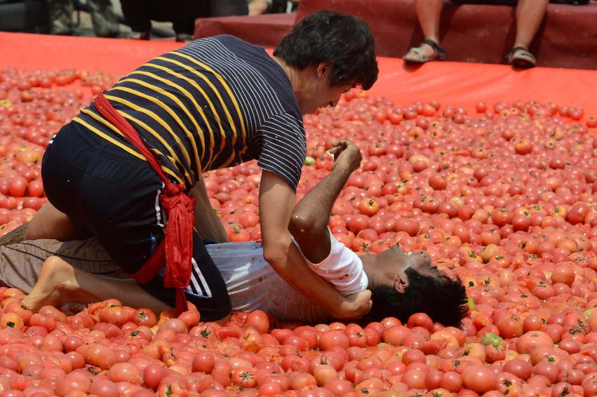 2013년 토마토축제 의 사진