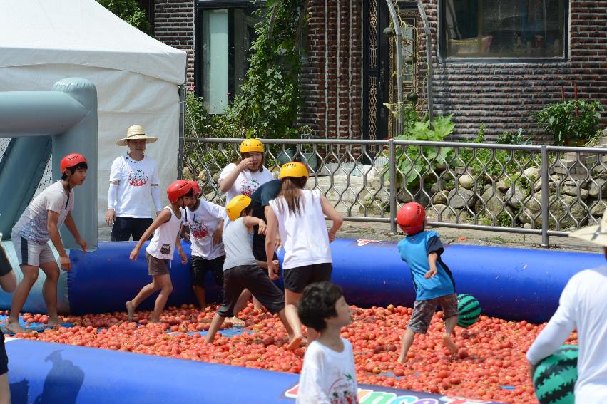 2013년 토마토축제 의 사진