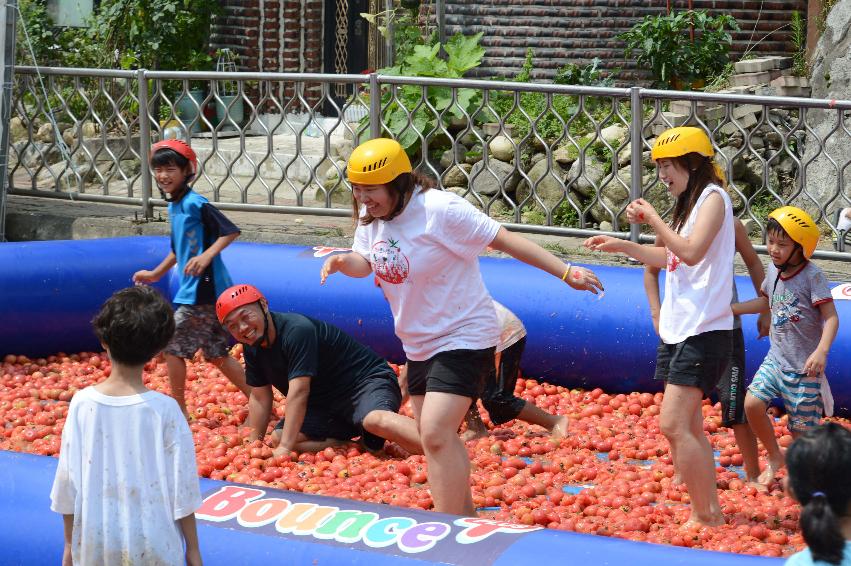 2013년 토마토축제 의 사진