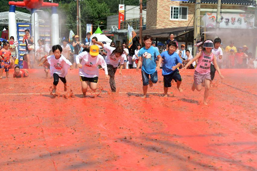 2013년 토마토축제 의 사진