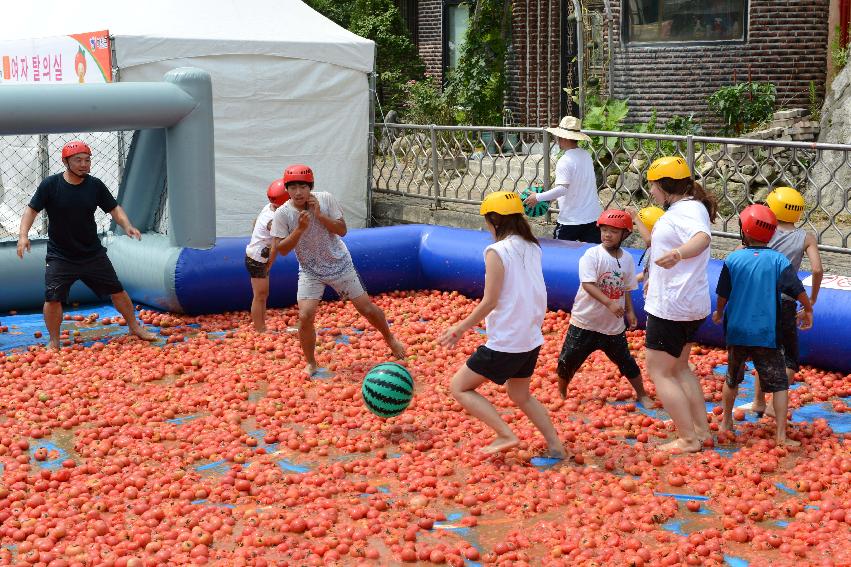 2013년 토마토축제 의 사진