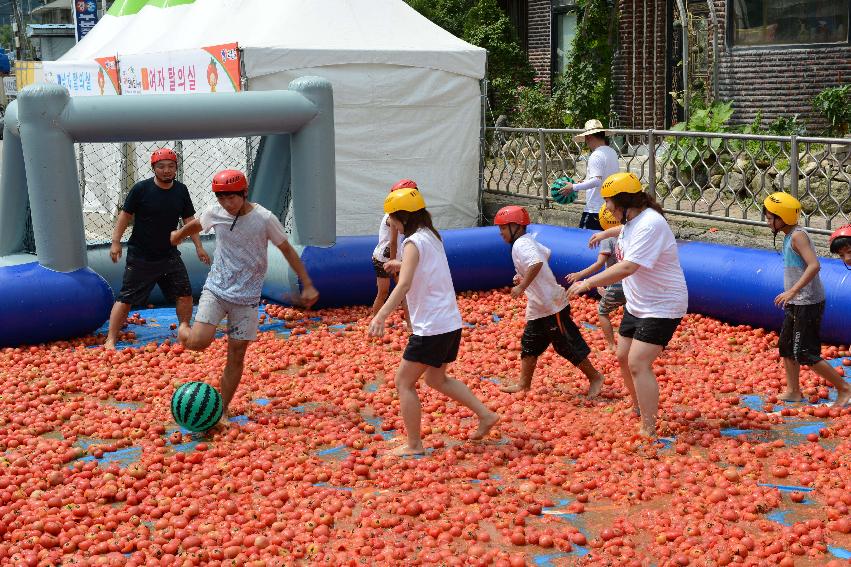 2013년 토마토축제 의 사진