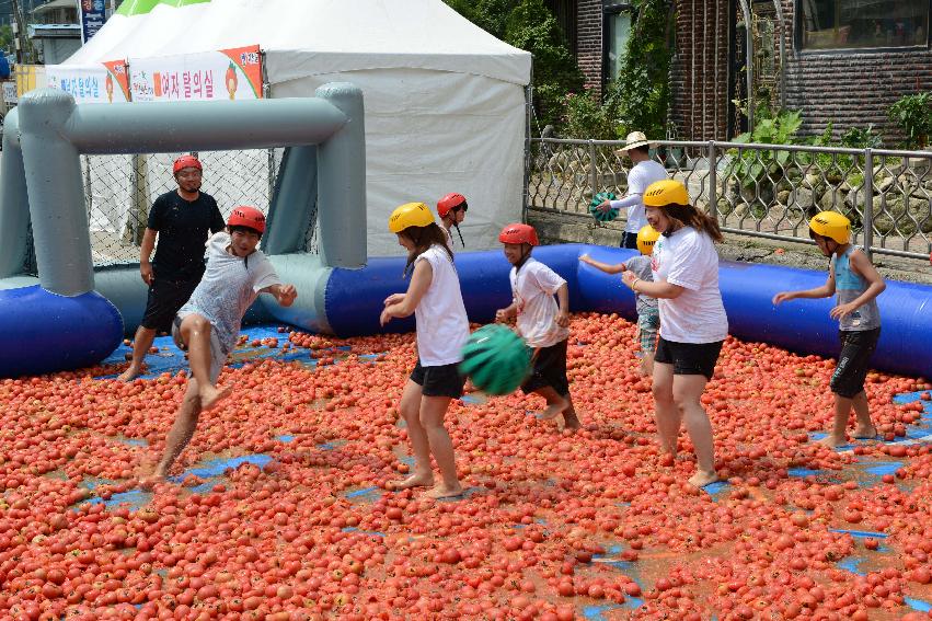 2013년 토마토축제 의 사진