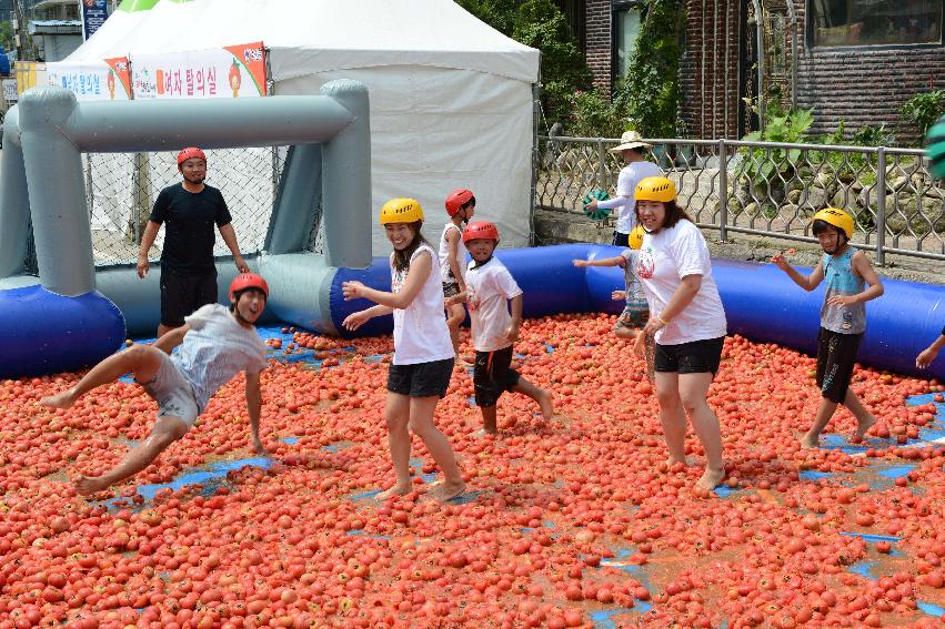 2013년 토마토축제 의 사진