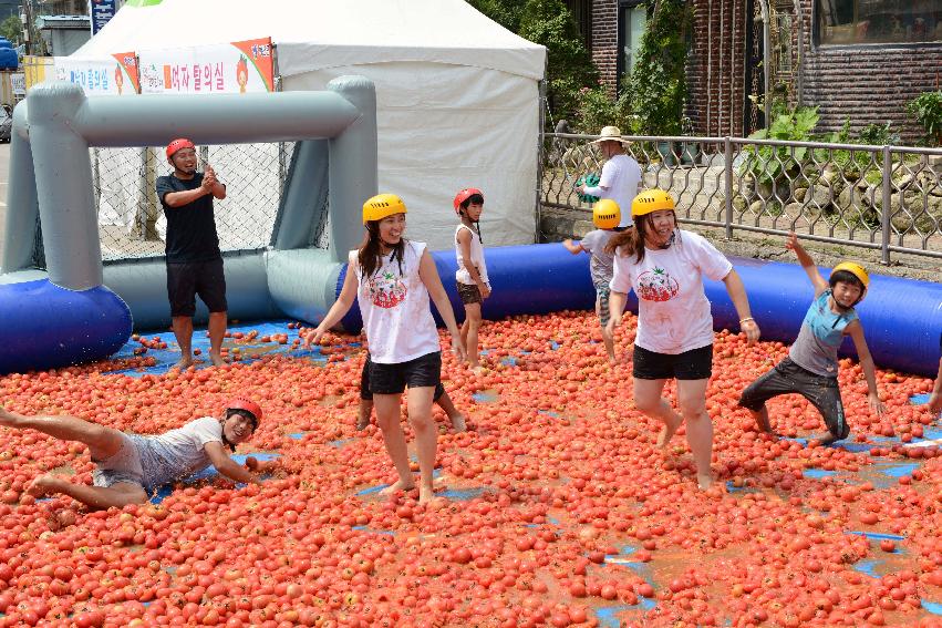 2013년 토마토축제 의 사진