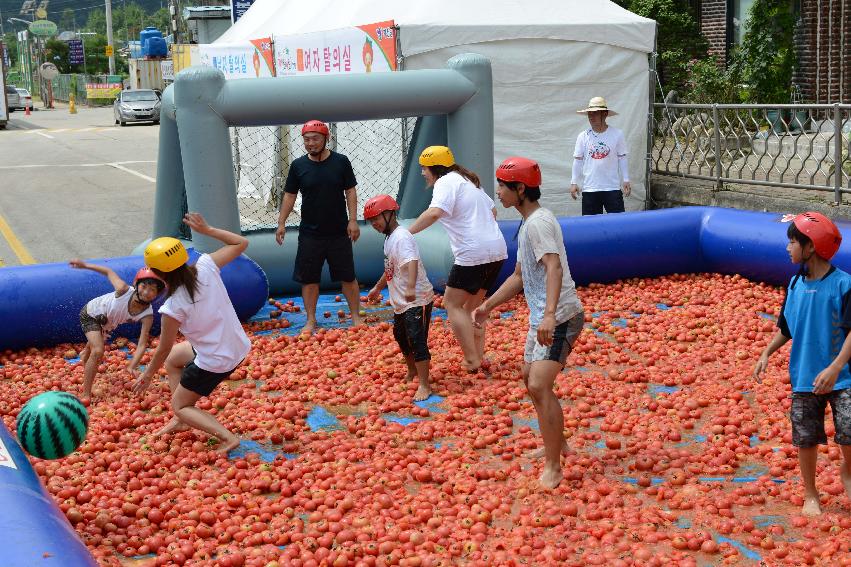 2013년 토마토축제 의 사진