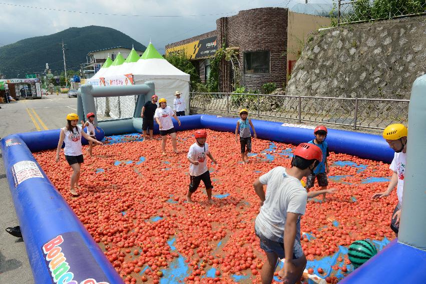 2013년 토마토축제 의 사진