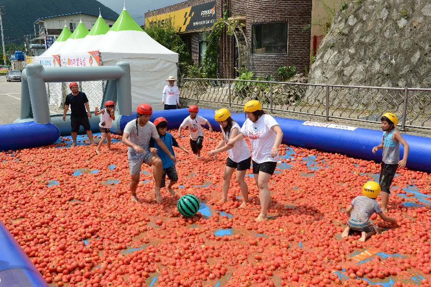 2013년 토마토축제 의 사진