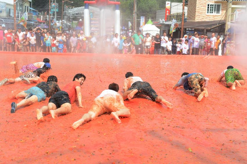 2013년 토마토축제 의 사진