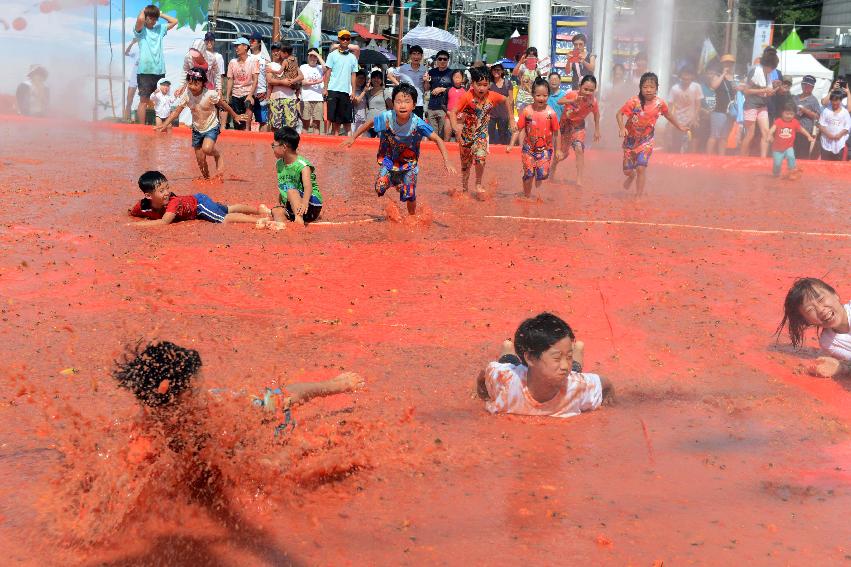 2013년 토마토축제 의 사진