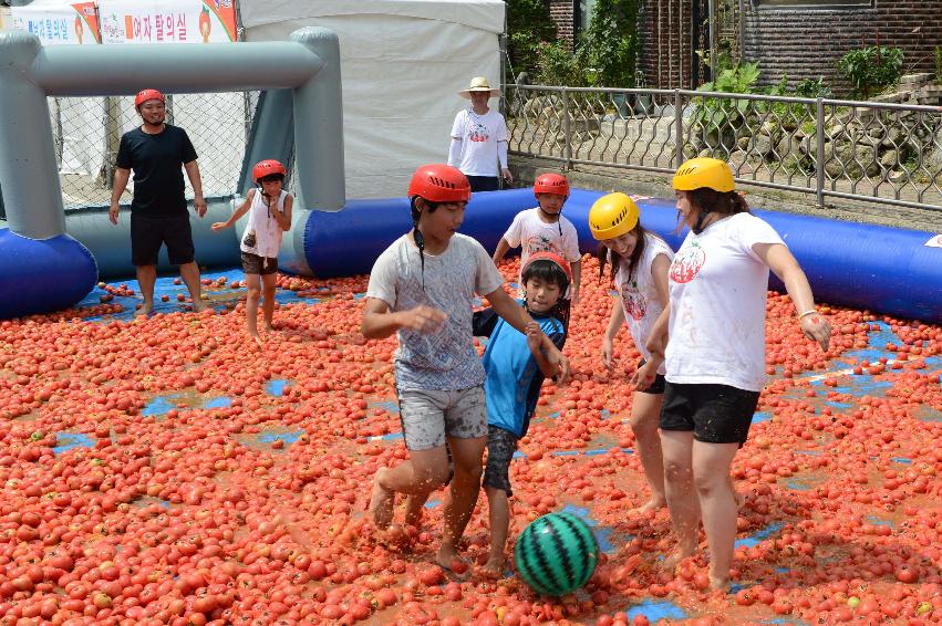 2013년 토마토축제 의 사진