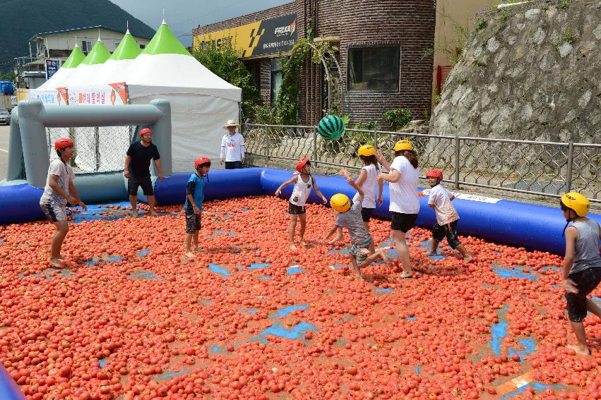 2013년 토마토축제 의 사진