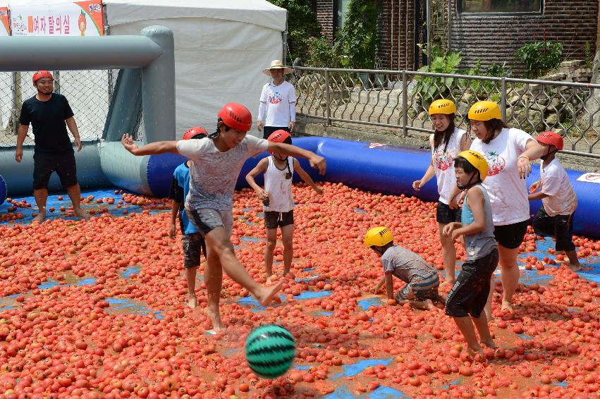 2013년 토마토축제 의 사진