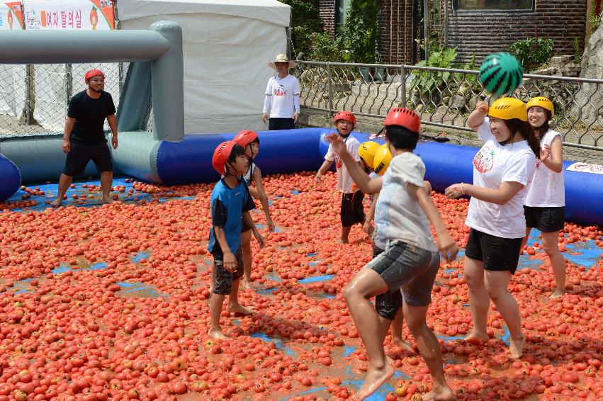 2013년 토마토축제 의 사진