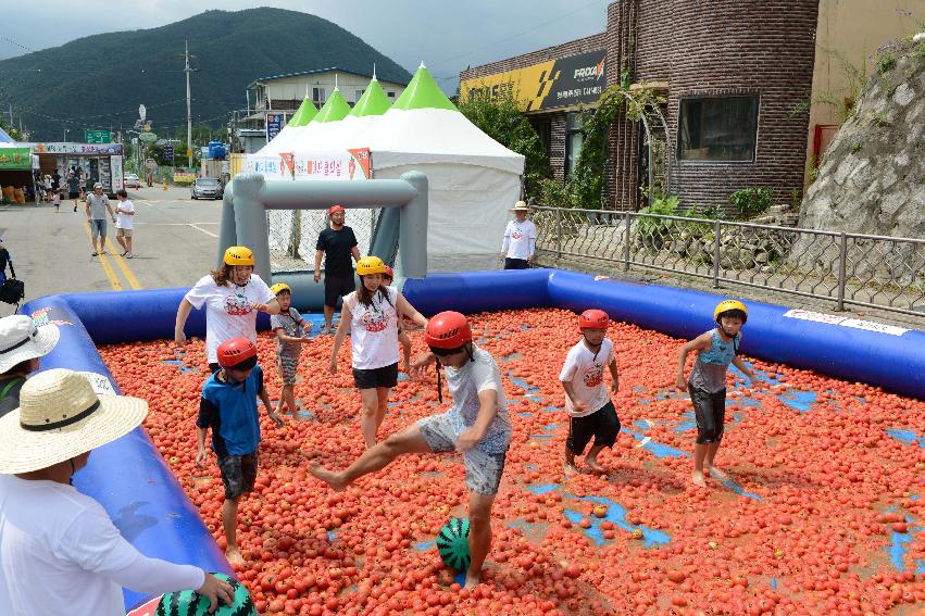 2013년 토마토축제 의 사진