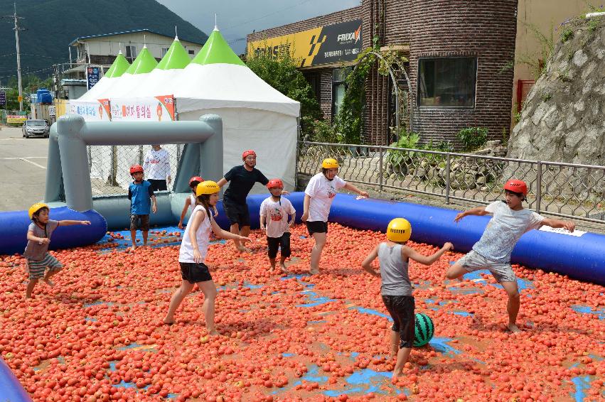 2013년 토마토축제 의 사진