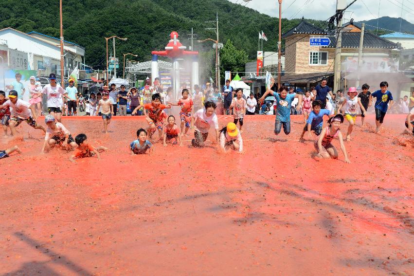 2013년 토마토축제 의 사진