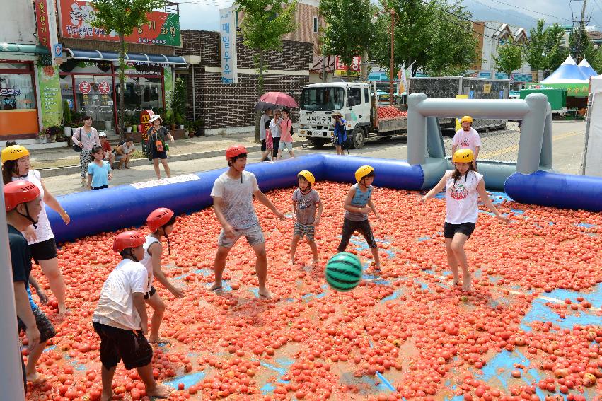 2013년 토마토축제 의 사진