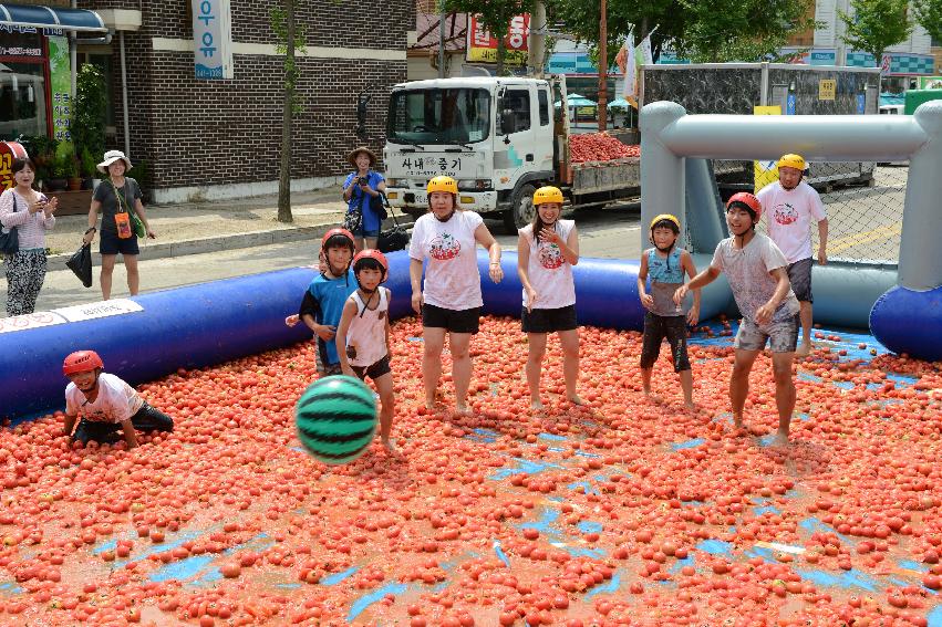 2013년 토마토축제 의 사진