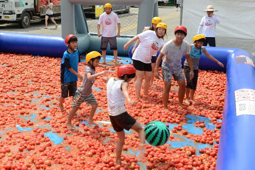 2013년 토마토축제 의 사진