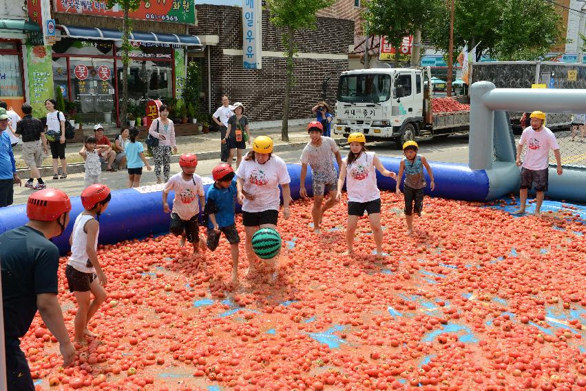 2013년 토마토축제 의 사진