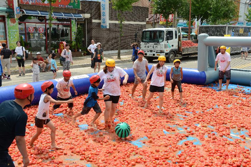 2013년 토마토축제 의 사진