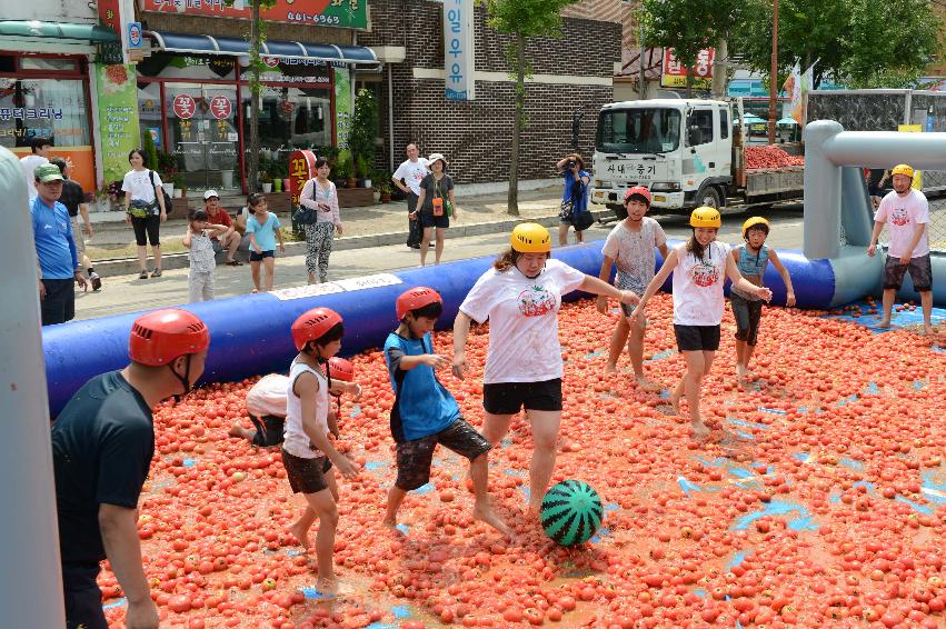 2013년 토마토축제 의 사진