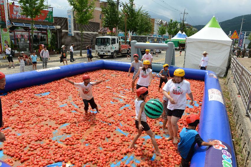 2013년 토마토축제 의 사진