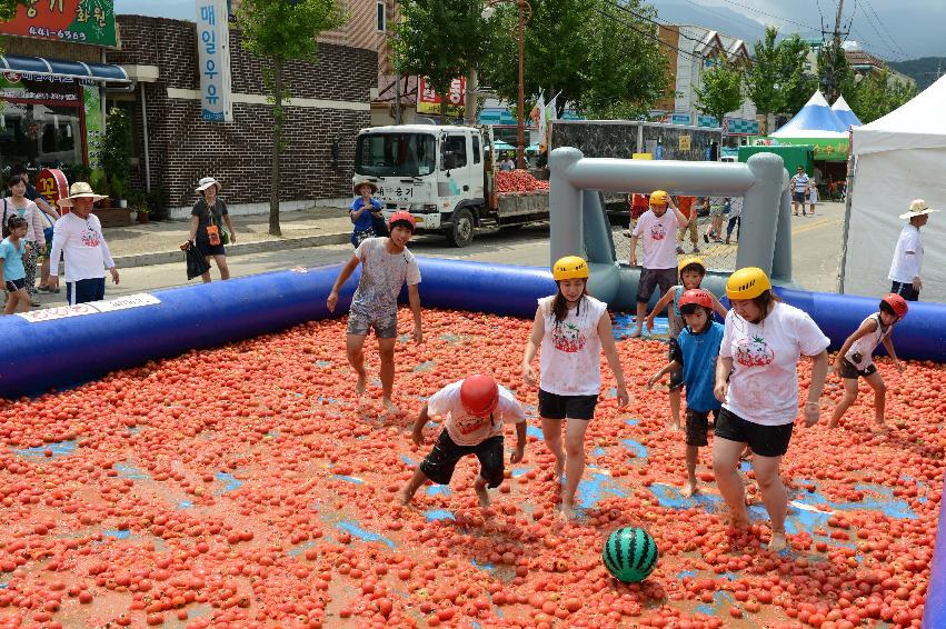 2013년 토마토축제 의 사진