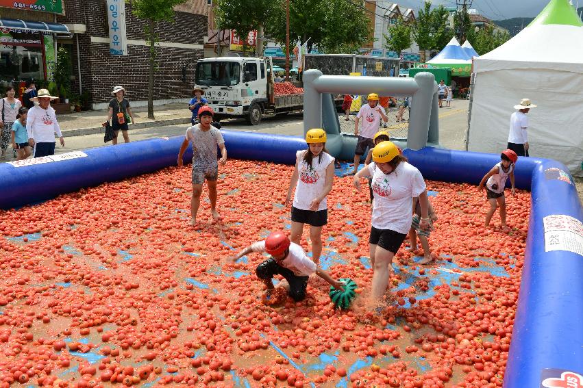 2013년 토마토축제 의 사진