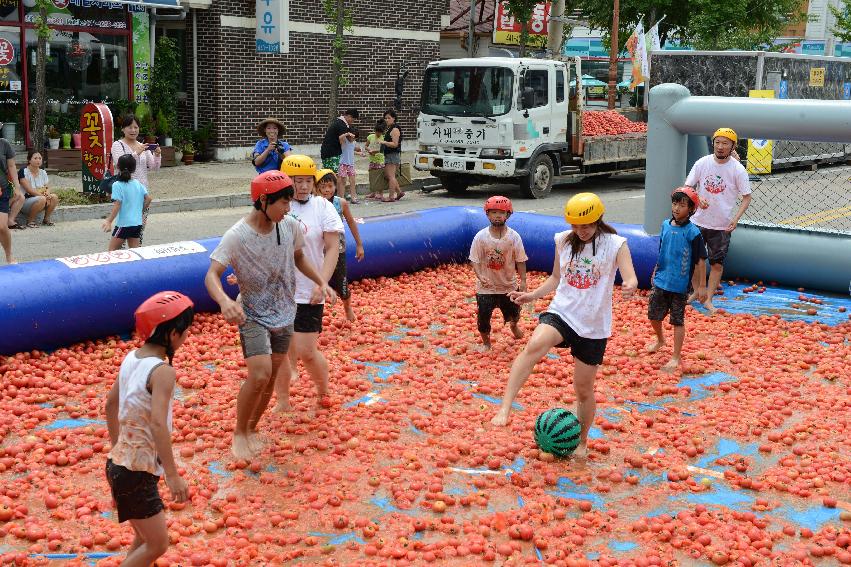 2013년 토마토축제 의 사진