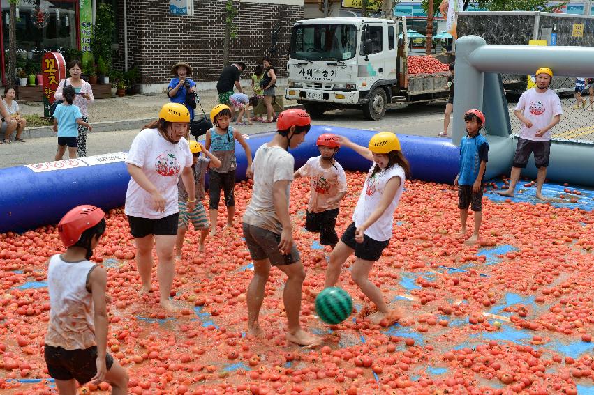 2013년 토마토축제 의 사진