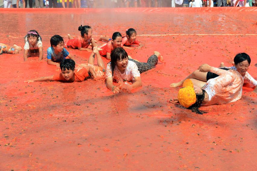 2013년 토마토축제 의 사진