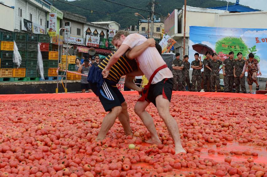 2013년 토마토축제 의 사진